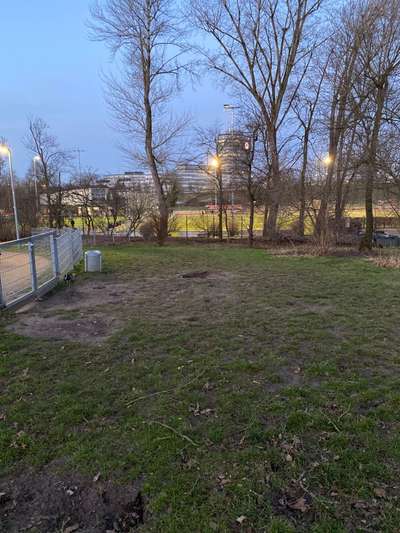 Hundeauslaufgebiet-Rheinpark Heerdt-Bild