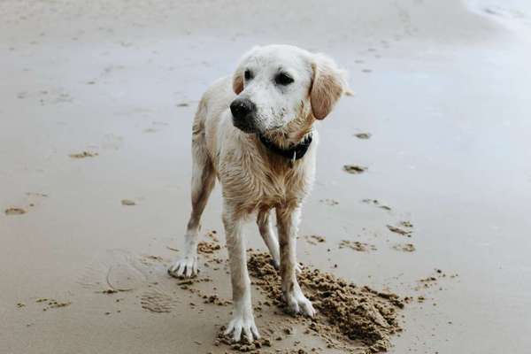 Eure Strandbilder :)-Beitrag-Bild
