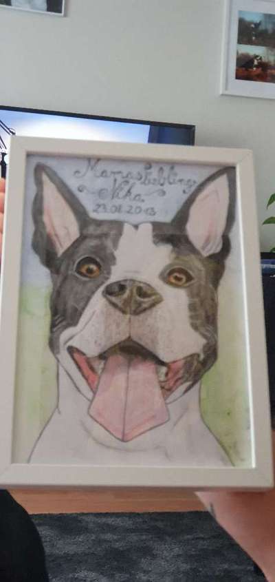 Ich zeichne deine Fellnase-Beitrag-Bild