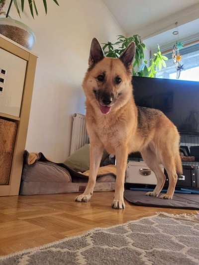 Ist das ein...?-Beitrag-Bild