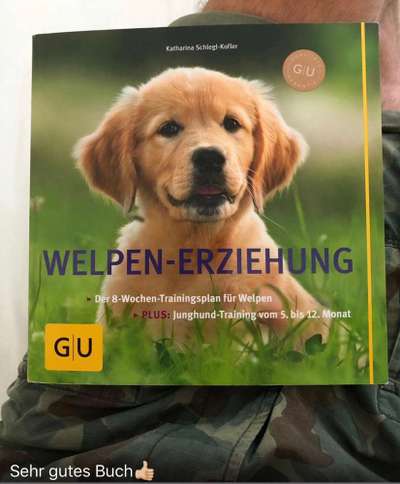 Alleine bleiben trainieren-Beitrag-Bild