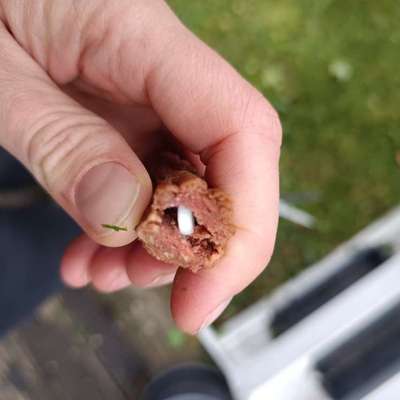 Giftköder-Giftköder-Bild