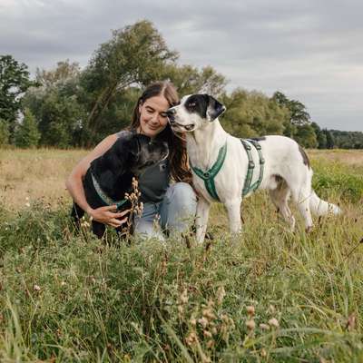 Hundeschule Dogminded in Frankenberg/Sachsen  – Dogorama