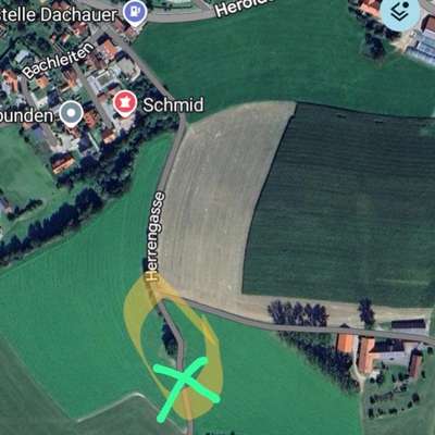 Giftköder-Giftköder / Rattengift-Bild