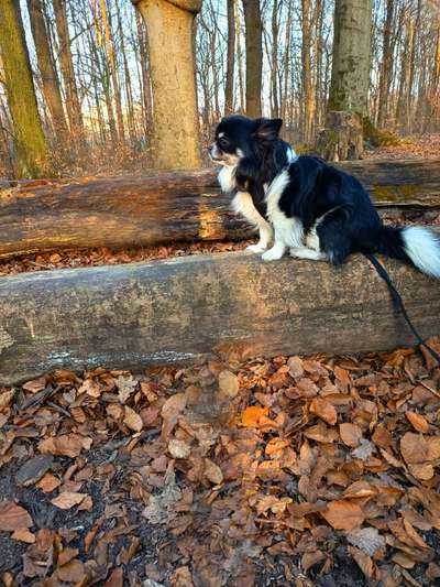 Häufige Vorurteile-Beitrag-Bild