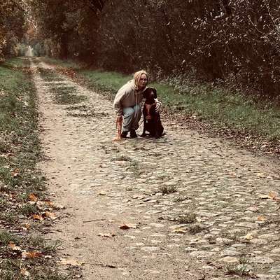 Hundetreffen-Bin auf der Suche nach Hunde Freunde