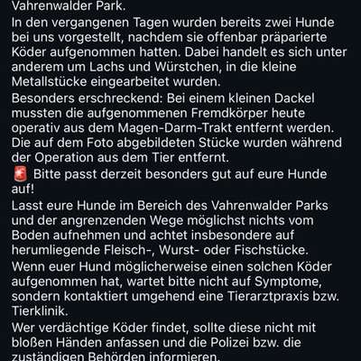 Giftköder-Giftköder mit Metallstückchen-Bild