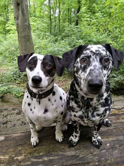 Lieblings Schnappschuss?-Beitrag-Bild