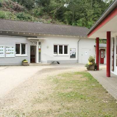 Tierheime-Tierheim Trier-Bild