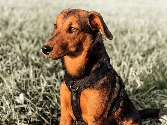 Lieblingsbild-Beitrag-Bild