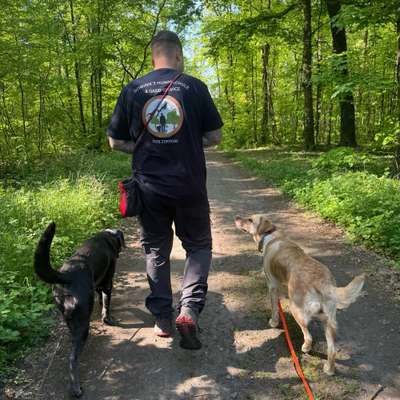 Hundeschulen-Dominiks Hundeschule & Gassi Service-Bild