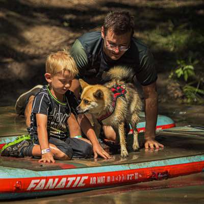 Weitere Unternehmen-Experte für Hundeversicherungen - Maximilian Alpers-Bild