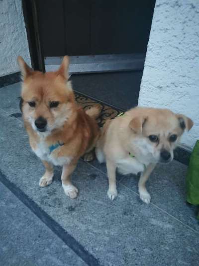 Lieblingsbild :D-Beitrag-Bild