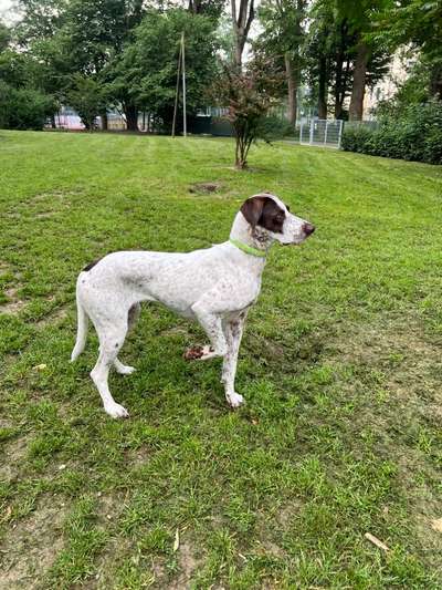 Doppelgänger gesucht !-Beitrag-Bild