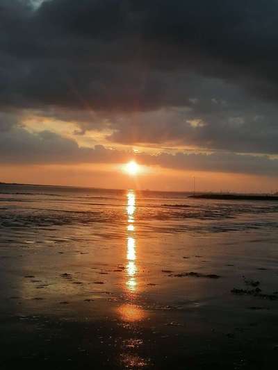 Die wunderschöne Welt mit Hund.-Beitrag-Bild