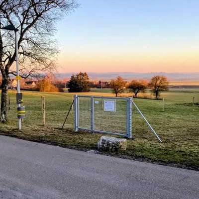 Hundeauslaufgebiet-Hundeauslaufgebiet Friedhofsstraße-Bild