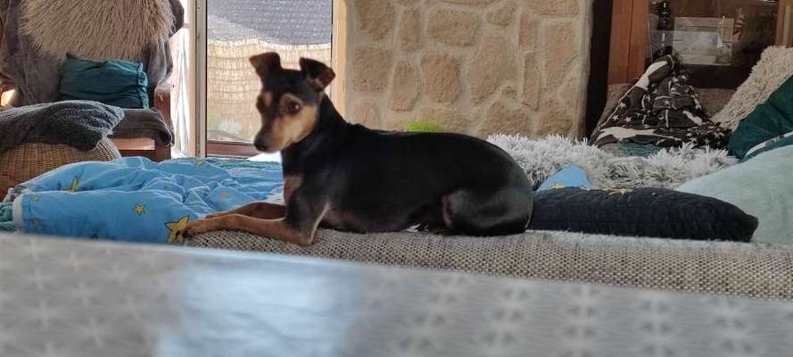 Lieblingsbild-Beitrag-Bild