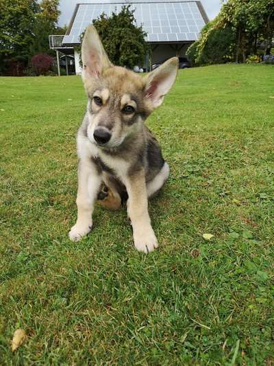 Moviestar-Pics!-Beitrag-Bild