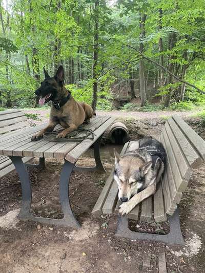 Moviestar-Pics!-Beitrag-Bild