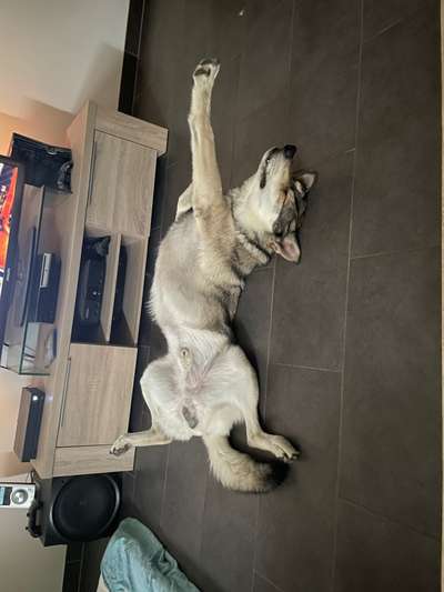 Moviestar-Pics!-Beitrag-Bild