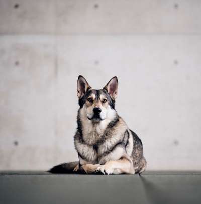 Lieblingsbild-Beitrag-Bild