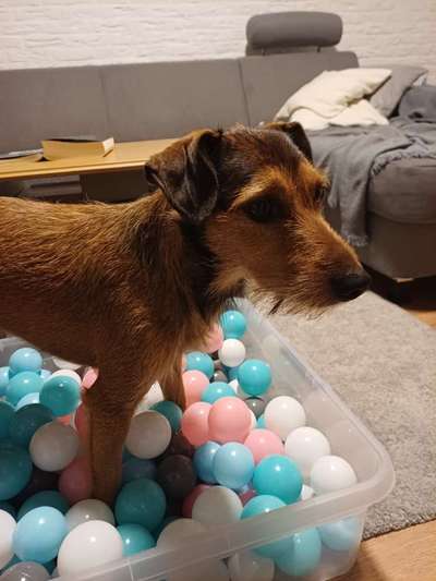 Kleine Übungseinheiten-Beitrag-Bild