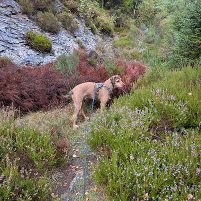aktuelles Foto Gruppe Wandern und Outdoor