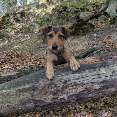 aktuelles Foto Gruppe Wandern und Outdoor