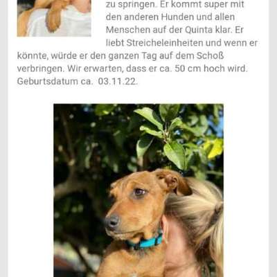 Metamorphose ;)-Beitrag-Bild