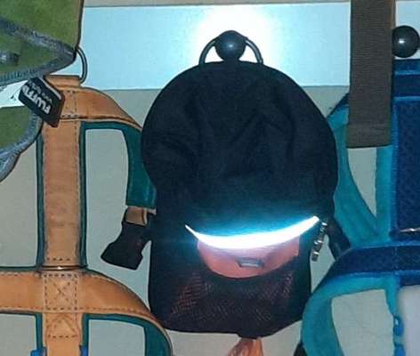 Hundekot :D-Beitrag-Bild