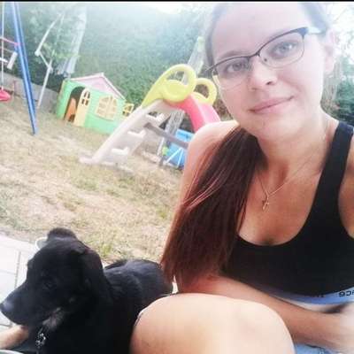 Hundetreffen-Suchen einen Freund zum spielen-Profilbild