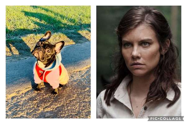 Wie heißt dein Hund?-Beitrag-Bild