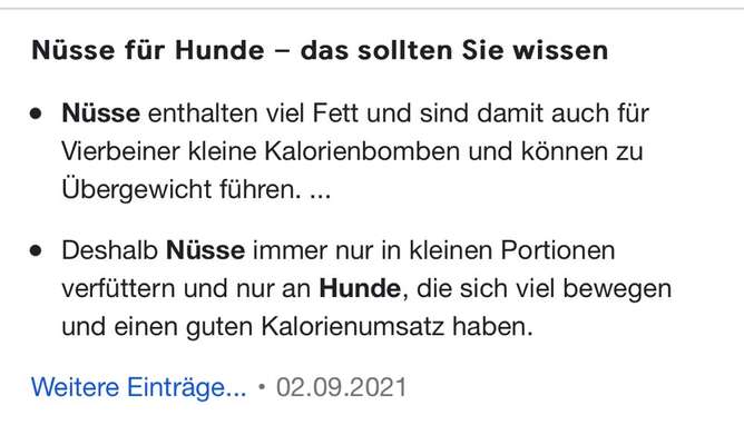 Französische Bulldoggen-Beitrag-Bild