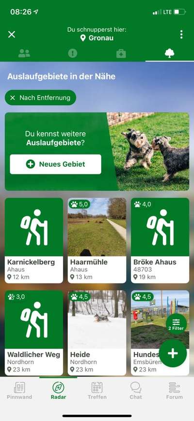 hundewiesen in Gronau-Beitrag-Bild