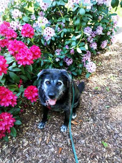 Das geht doch zu weit, oder?! 😱 HAIRLESS / HIPPO BULLYS-Beitrag-Bild