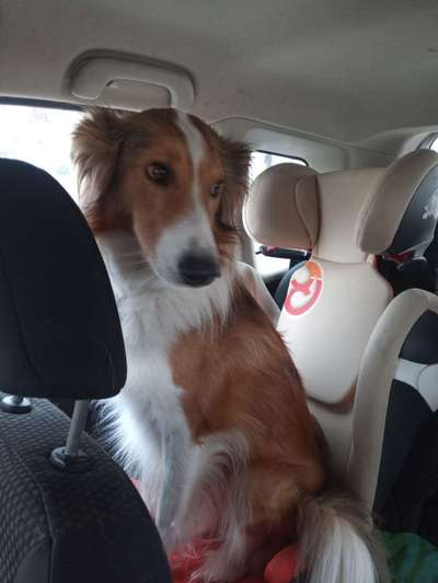 Foto-Challange No.1 - Alles aber nicht die Kamera-Beitrag-Bild