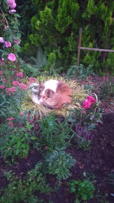 Theos Fotochallange Nummer 4-Beitrag-Bild