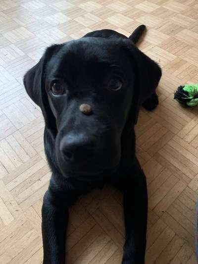 Fotochallange Nr. 57     PORTRÄT.   Beendet!!!!!!!!-Beitrag-Bild