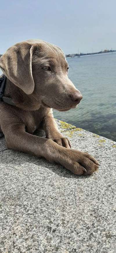 Lieblingsbild-Beitrag-Bild