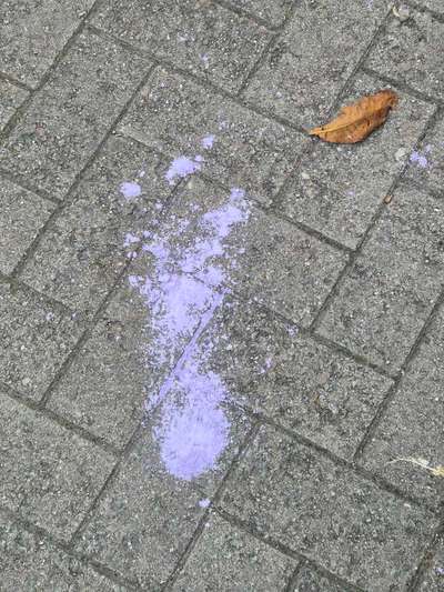 Giftköder-Potenzieller Giftköder-Bild