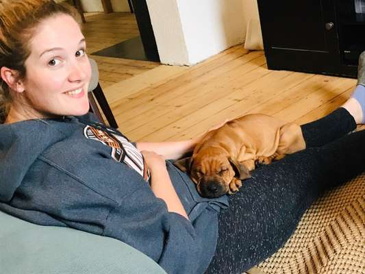 Euer schönstes Bild mit eurem Hund gemeinsam!-Beitrag-Bild