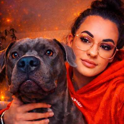 Hundetreffen-Neue Hundefreunde-Bild