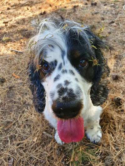 Handy-Foto Challange Nr. 10-Beitrag-Bild