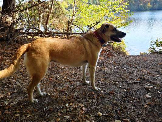 Doppelgänger gesucht !-Beitrag-Bild