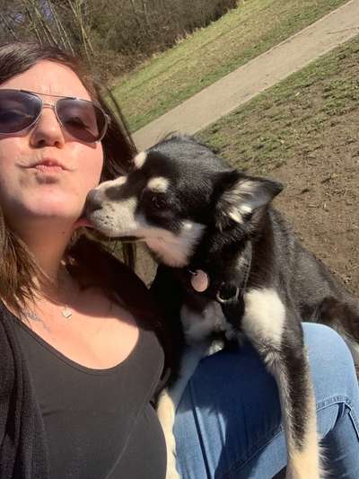 Küsschenbilder-Beitrag-Bild