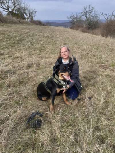 Hundetreffen-Social Walks-Bild