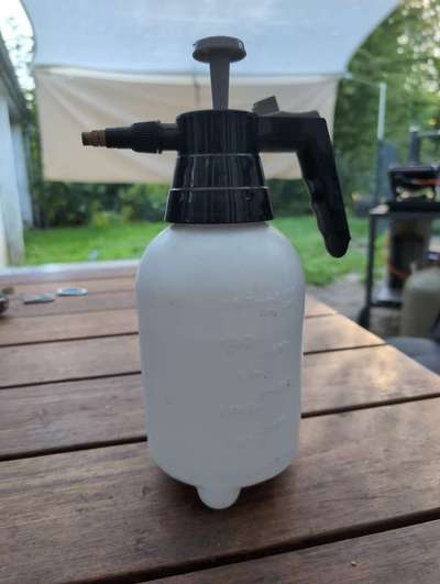 Hund will kein Wasser trinken bei Hitze-Beitrag-Bild