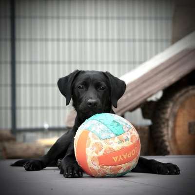 Lieblingsbild-Beitrag-Bild