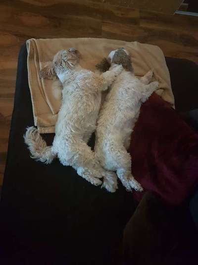 Lieblings Schnappschuss?-Beitrag-Bild