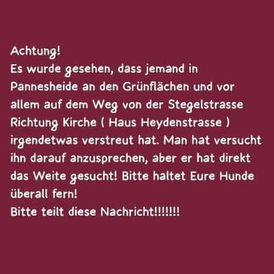 Giftköder-Vermutlich Gift in Pannesheide-Bild